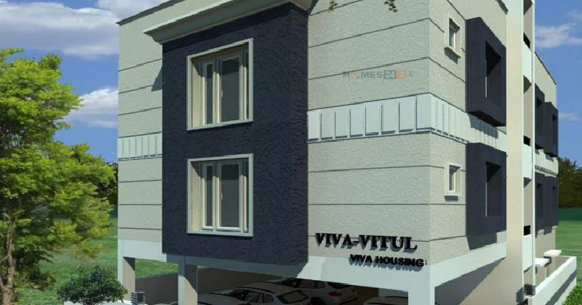 Viva Vitul Cover Image
